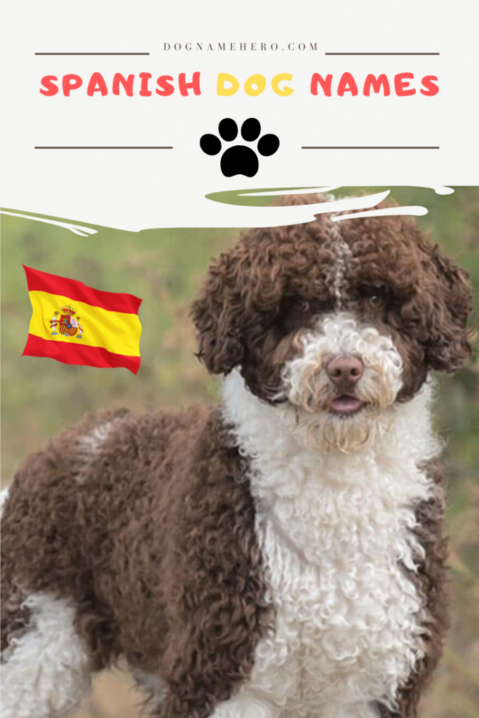 Best 340 Badass Spanish Dog Names With Meanings Dog Name Hero