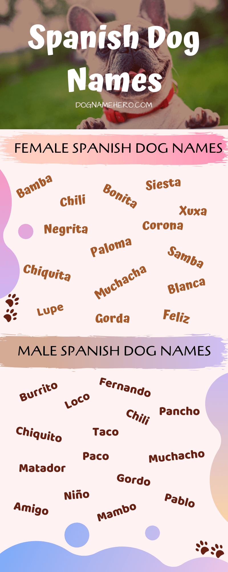 Best 340 Badass Spanish Dog Names With Meanings Dog Name Hero