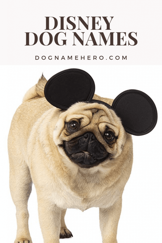 disney-dog-names-all-disney-dogs-dog-name-hero