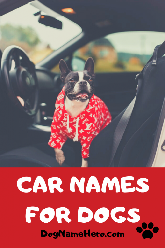 255 Car Names For Dogs | Mechanical Car Related Dog Names