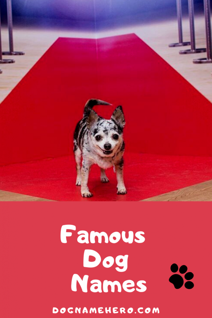 Famous Dogs Names