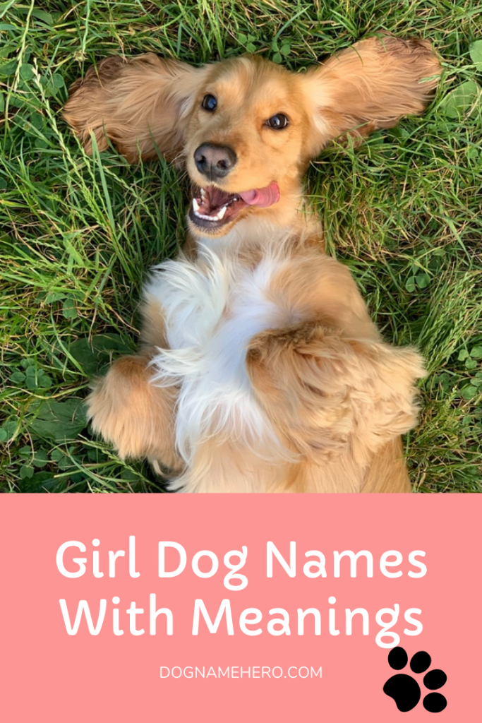 Badass Dog Names | 150+ Tough Female and Male Names For Dogs